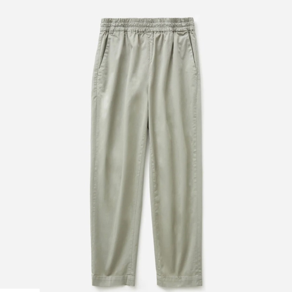 Everlane The Easy Chino